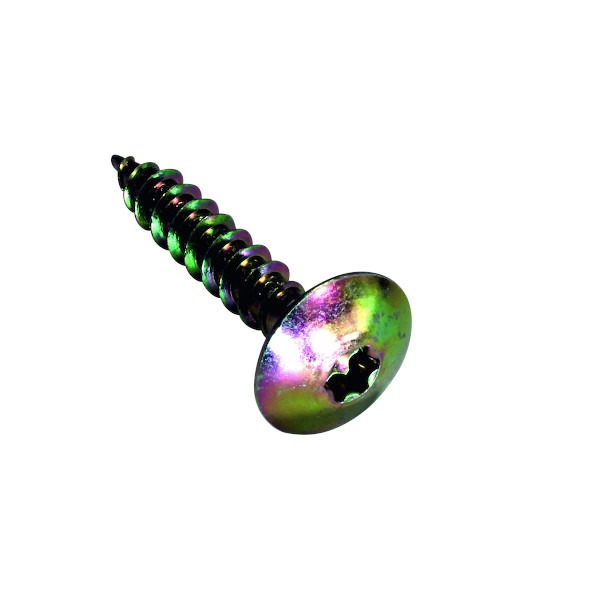 Vis pour penture Torx zingué bichromaté